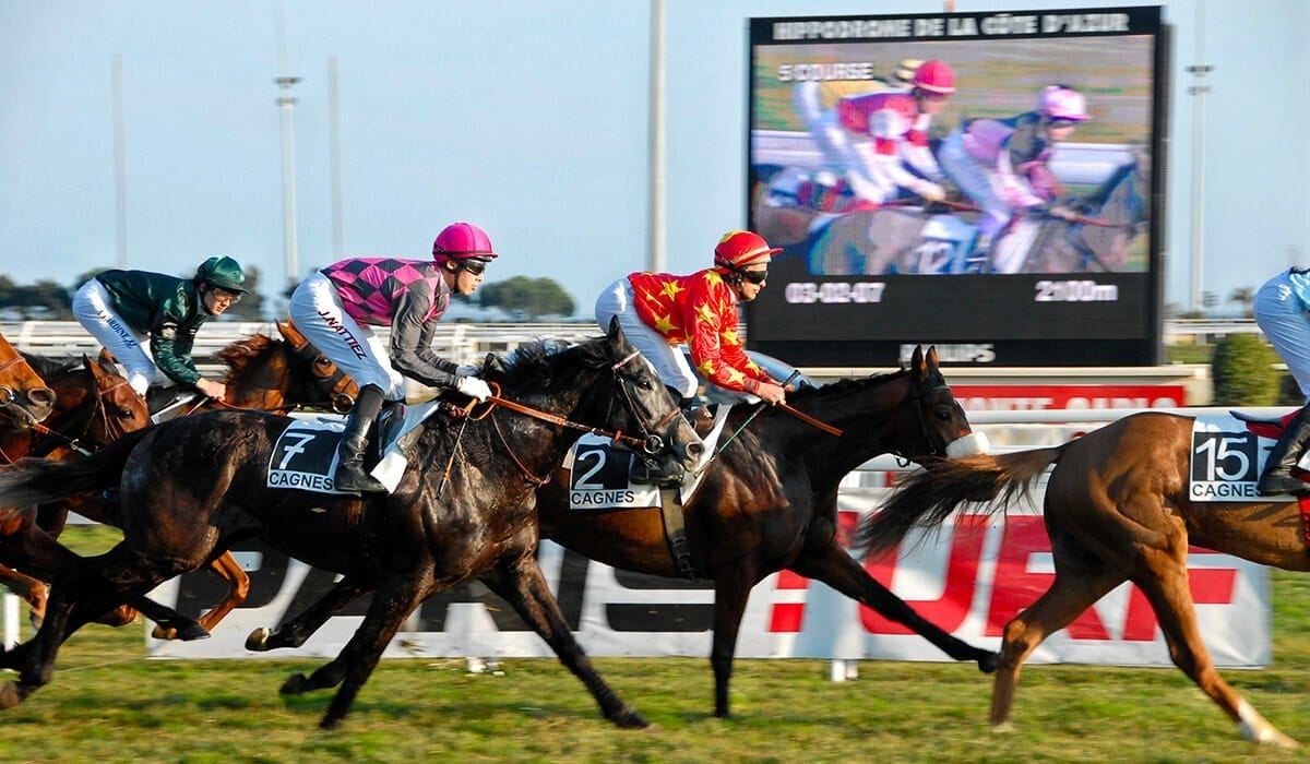 Course à l'hippodrome côte d'Azur - Cagnes-sur-Mer
